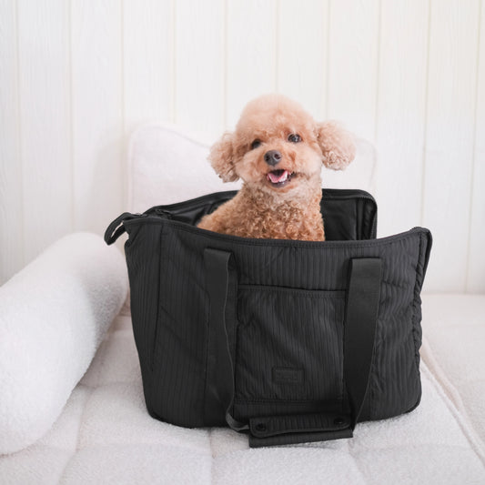 City Dog Carrier - Black