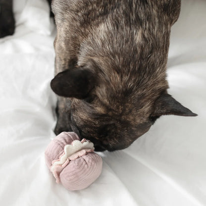 Petite Two Enrichment Toy