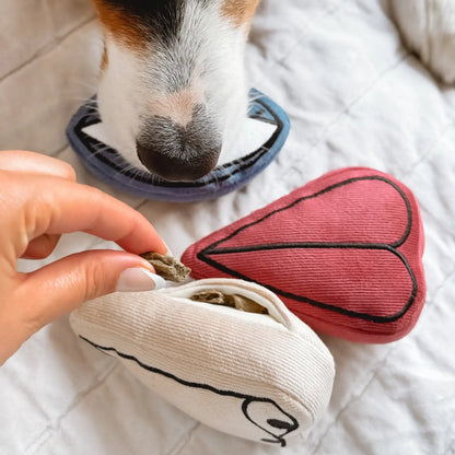 Picasso Enrichment Toy