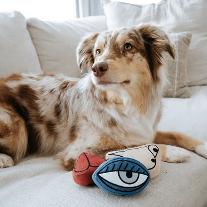 Picasso Enrichment Toy