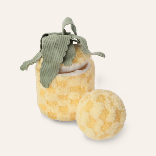 Pineapple Enrichment Toy