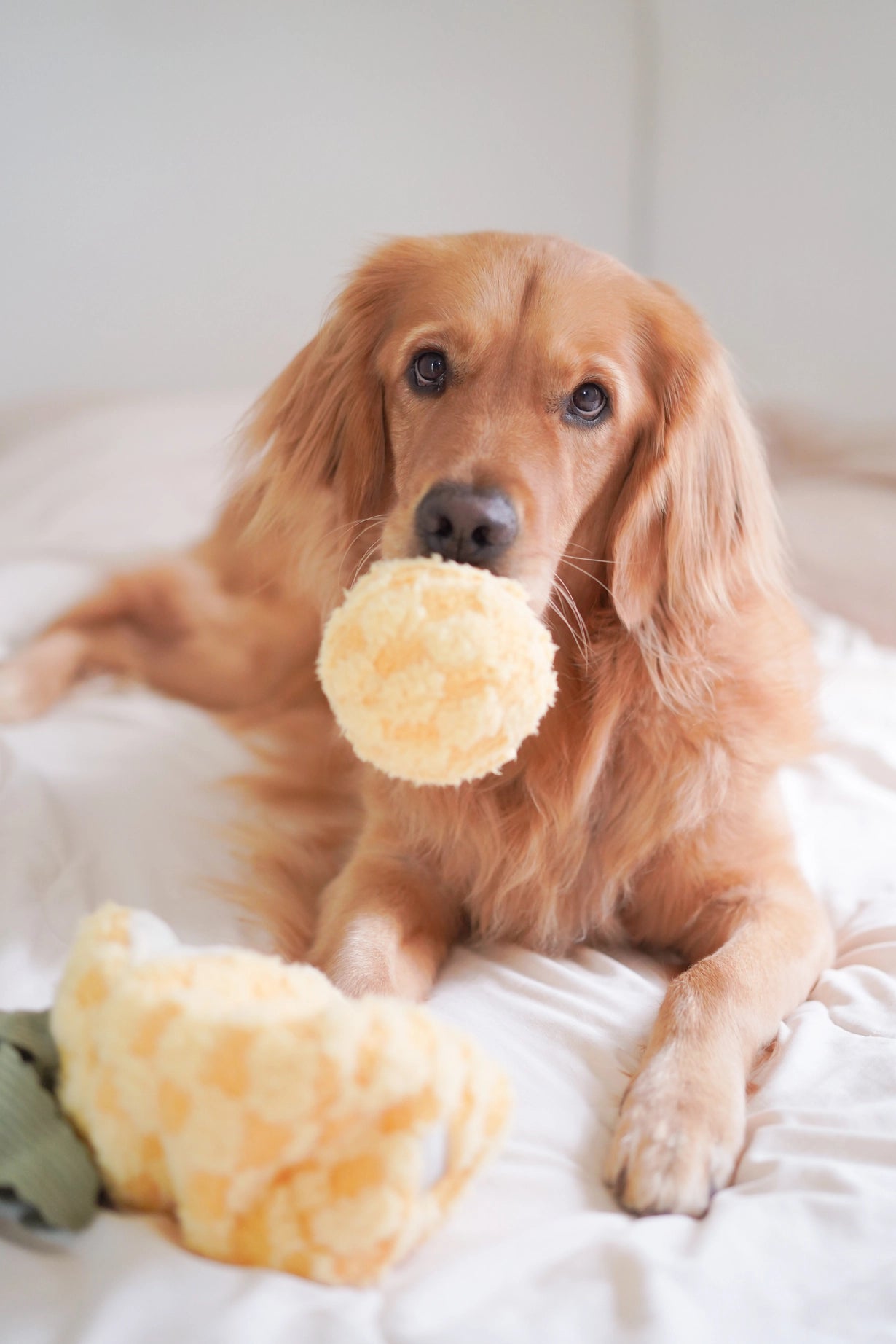 Pineapple Enrichment Toy
