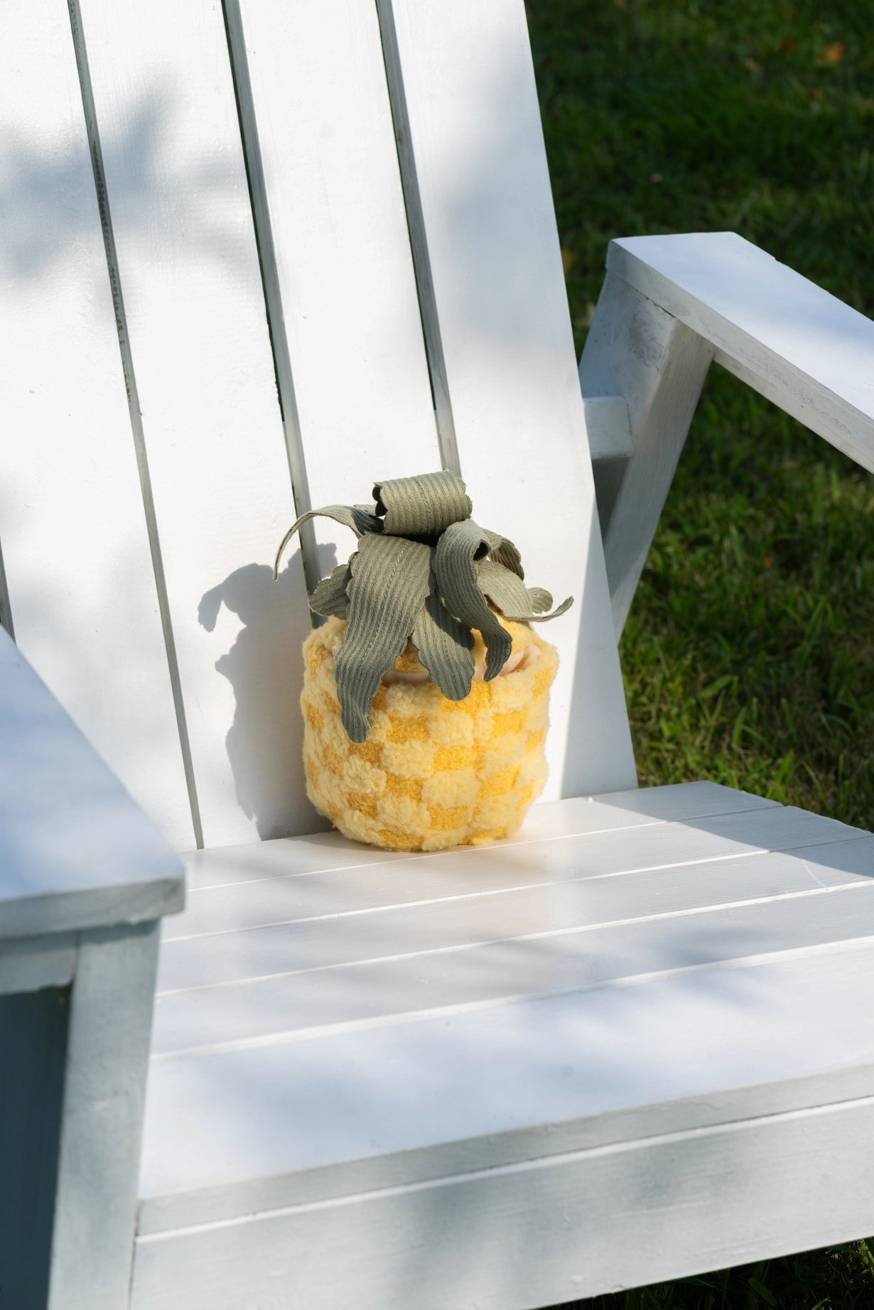 Pineapple Enrichment Toy