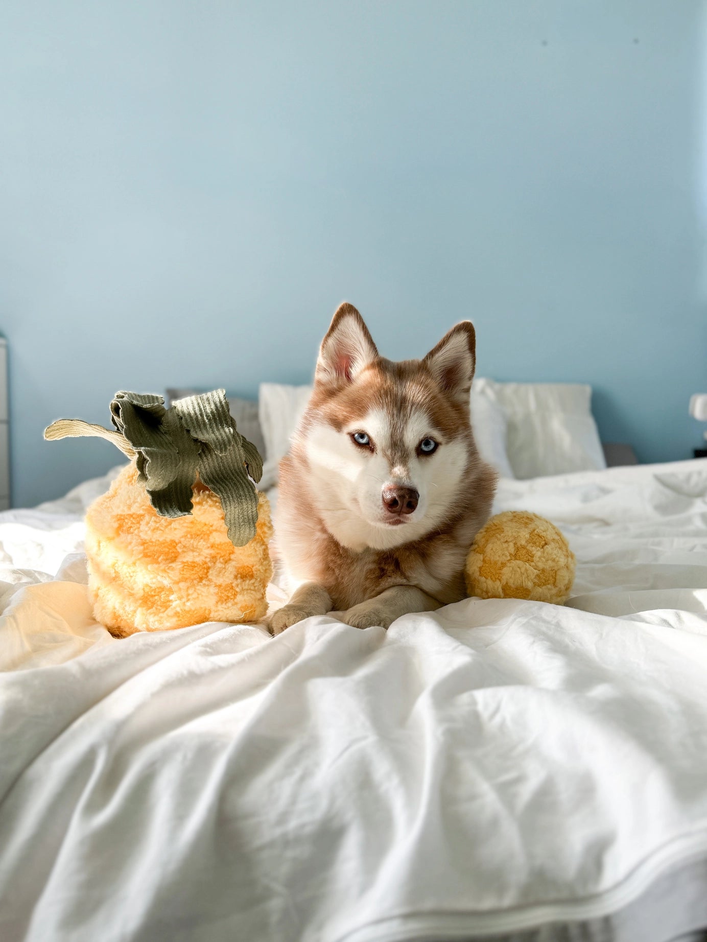 Pineapple Enrichment Toy
