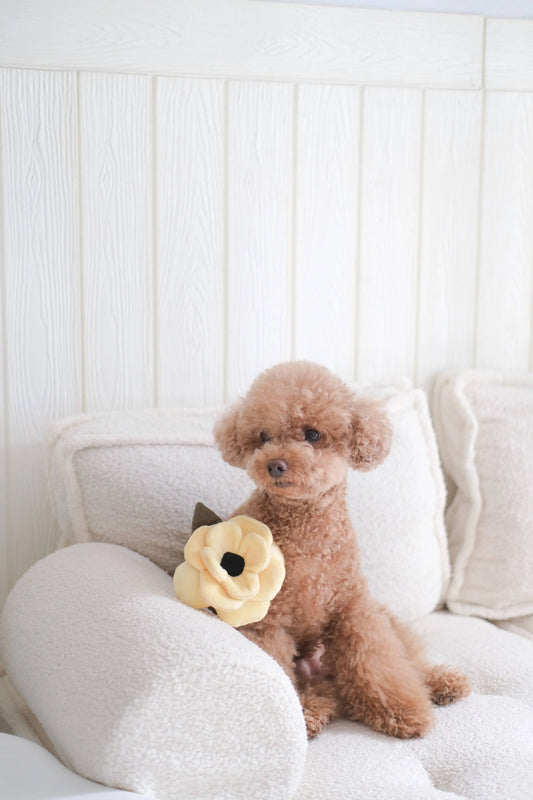 Poppy Enrichment Toy