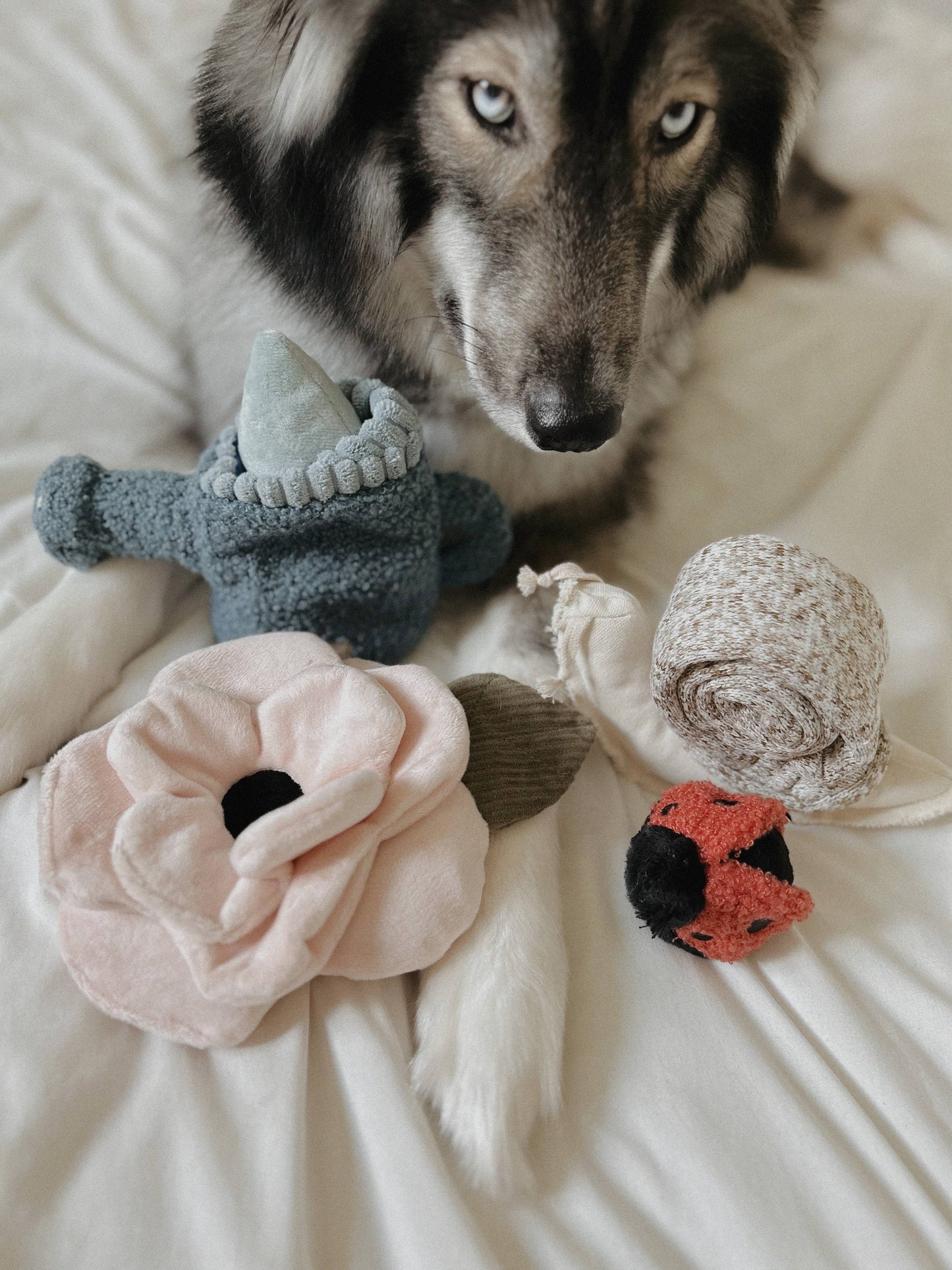 Poppy Enrichment Toy