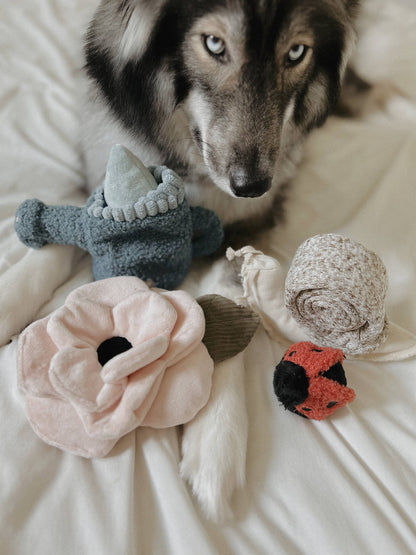 Poppy Enrichment Toy