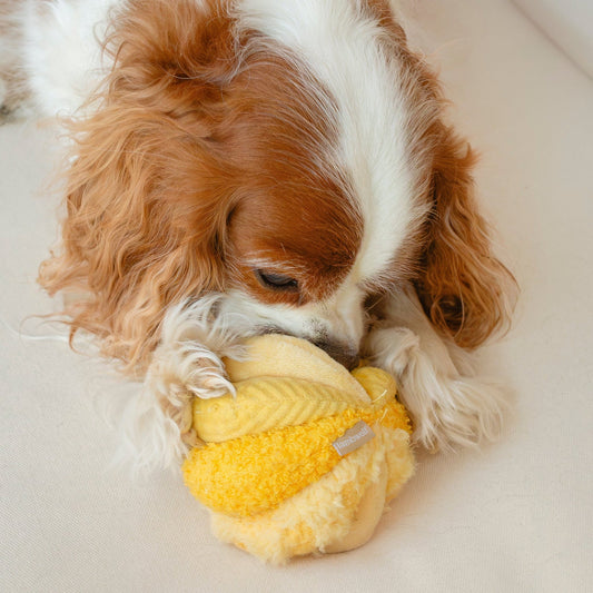 Toto Snuffle Ball - Yellow