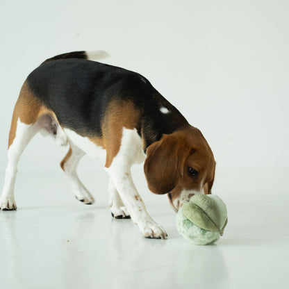 Toto Snuffle Ball - Green