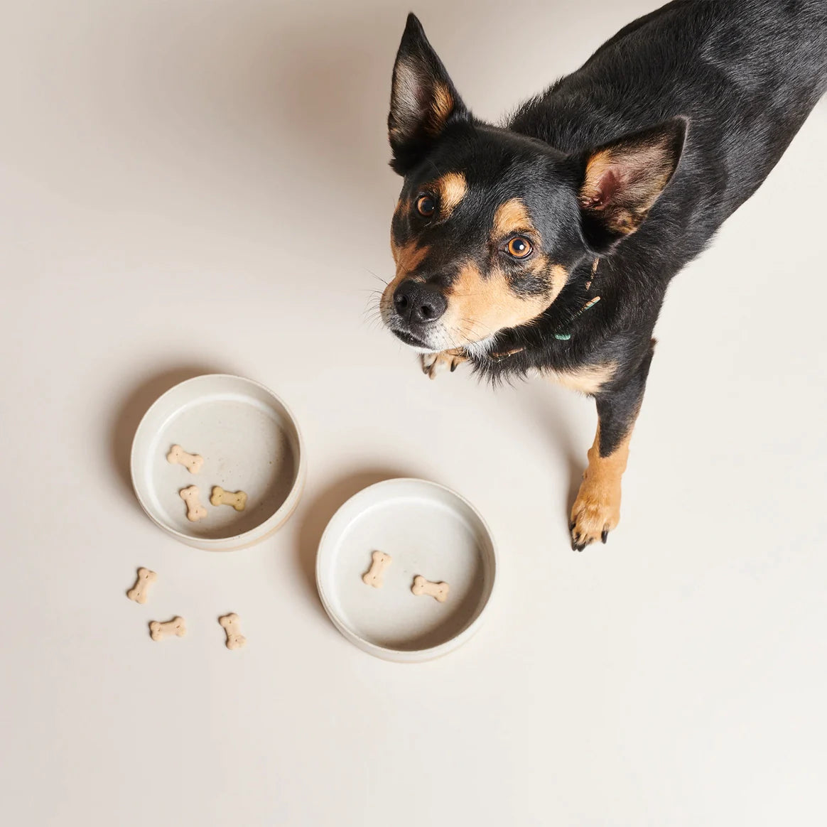 Ceramic Bowl Bo - Cream