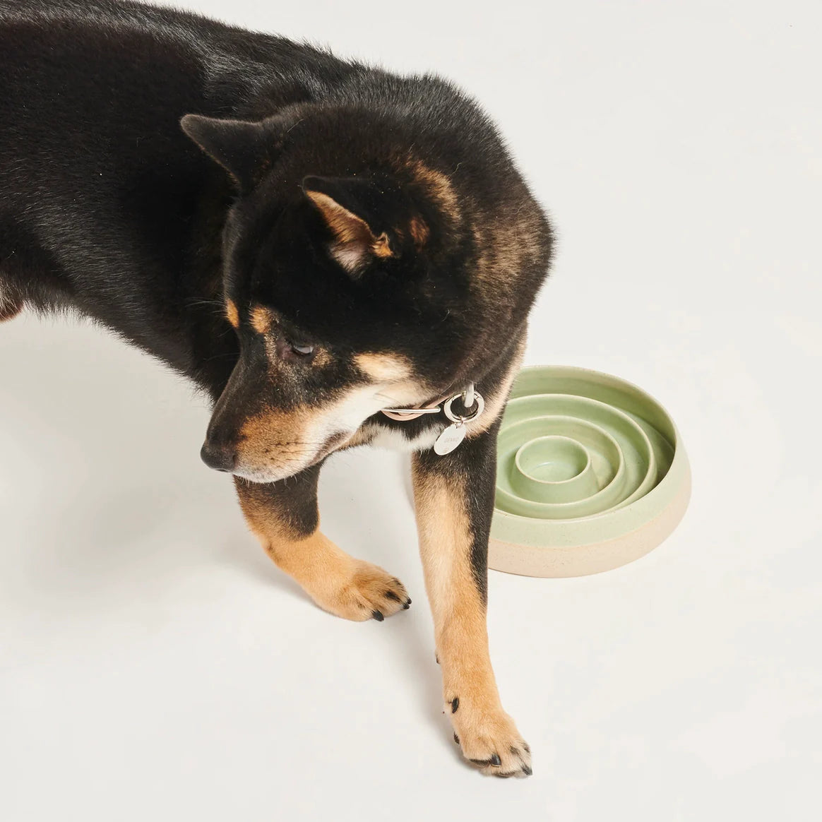 Ceramic Slow Feeder - Light Green