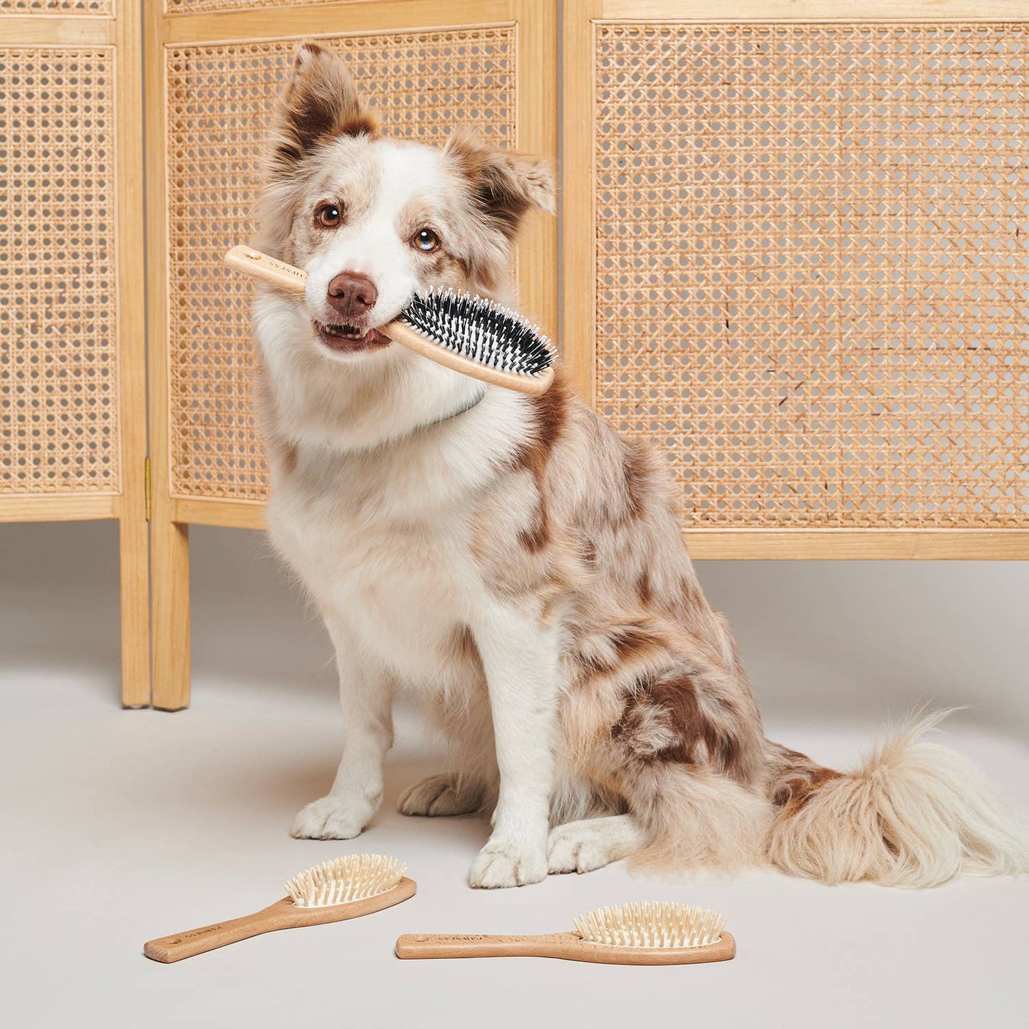 Small Vegan Wooden/Nylon Brush