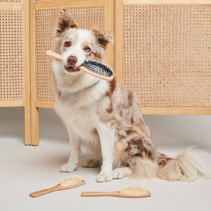 Small Vegan Wooden/Nylon Brush