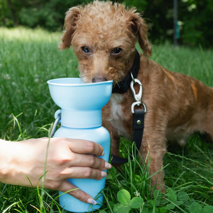 Flip Travel Water Bottle - Light Blue