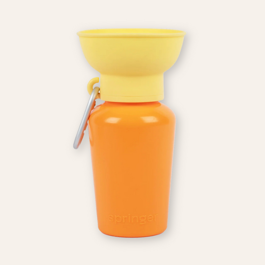 Flip Travel Water Bottle - Mango/Lemon