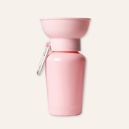 Flip Travel Water Bottle - Baby Pink