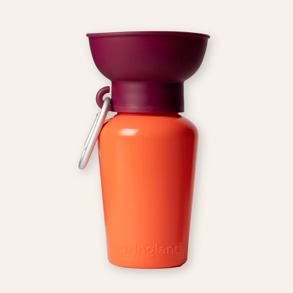 Flip Travel Water Bottle - Burgundy / Terracotta