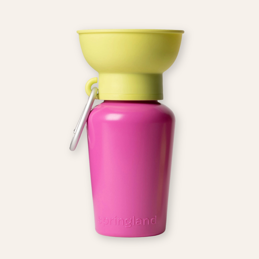 Flip Travel Water Bottle - Seafoam Green / Bright Pink