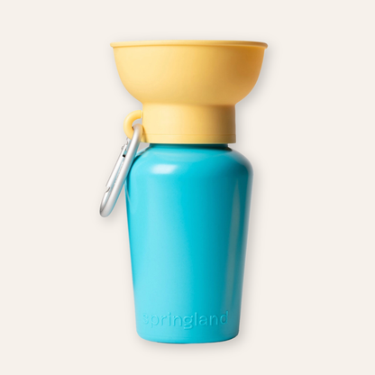 Flip Travel Water Bottle - Soft Yellow / Turquoise