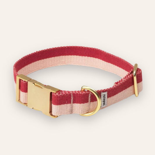 Collar - Red / Powder