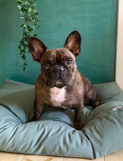 Cushion - Tobine Green