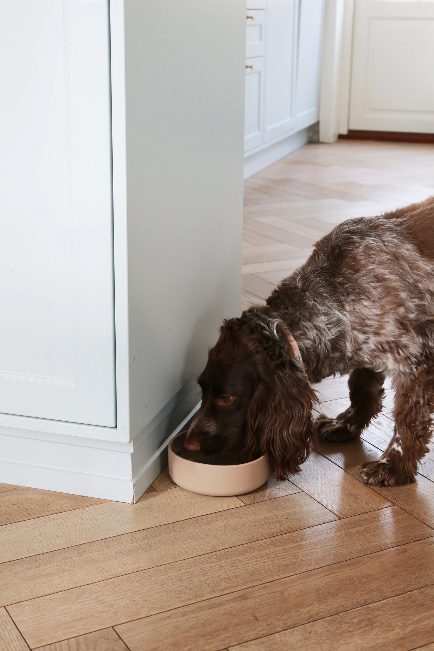 Silicone Food Bowl - Cream