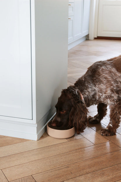 Silicone Food Bowl - Cream